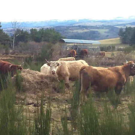 Konukevi Face Au Sancy 3*